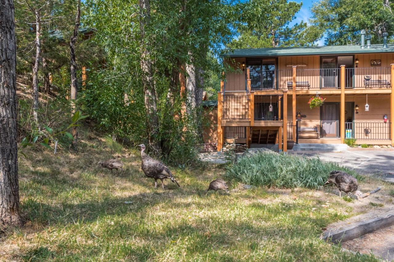 4 Seasons Inn On Fall River Estes Park Exterior foto