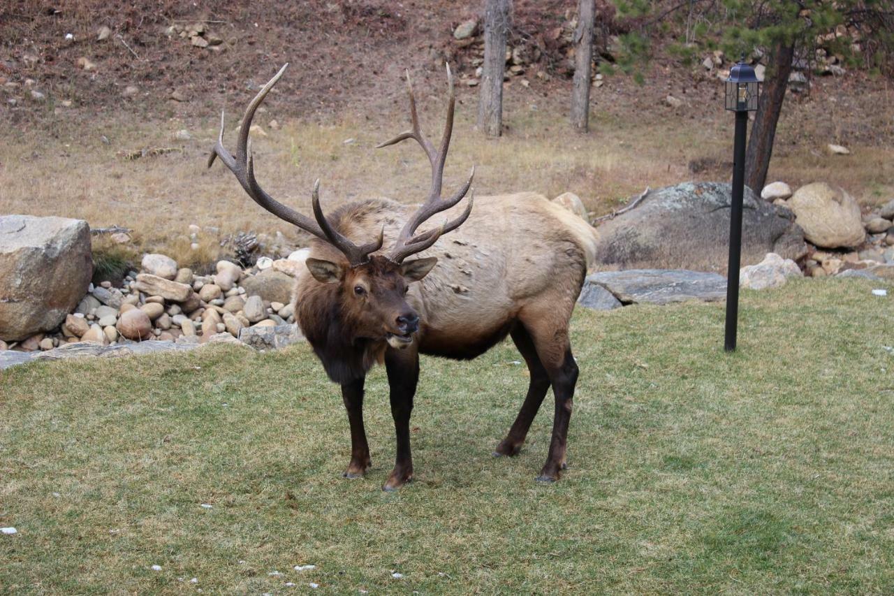 4 Seasons Inn On Fall River Estes Park Exterior foto